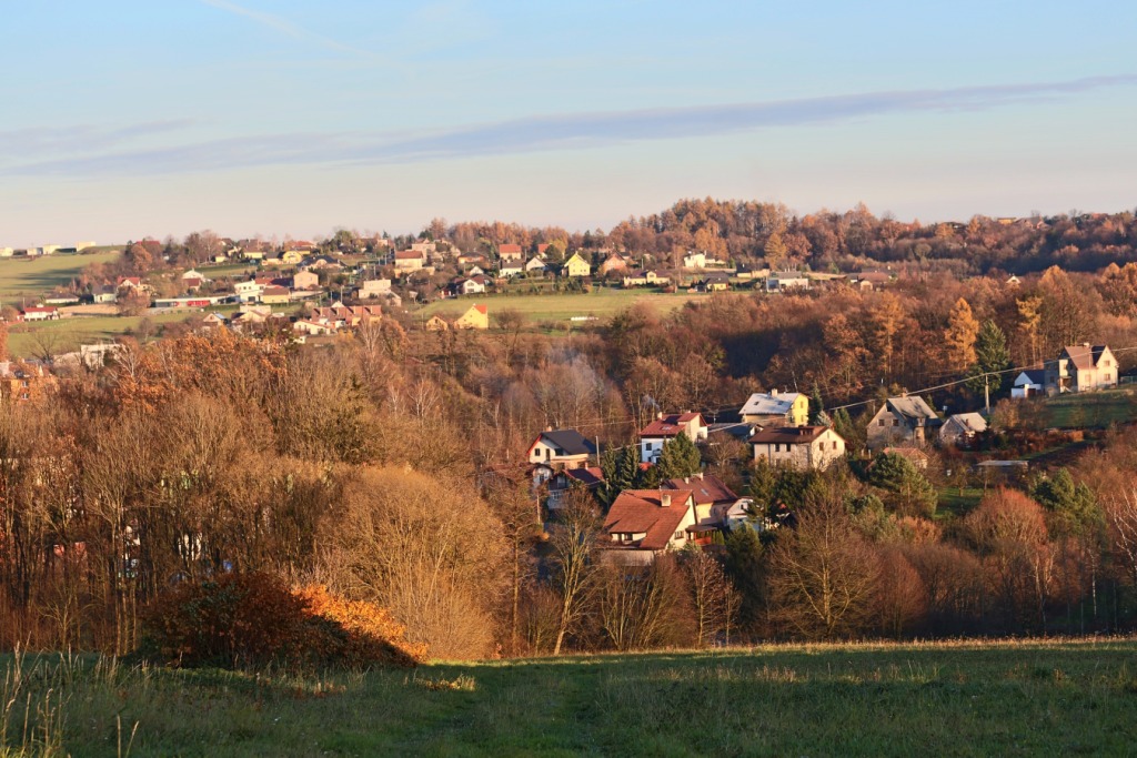 HORN BLUDOVICE