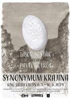 V�stava Synonymum Krajina
