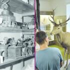 Minul� pro budouc�